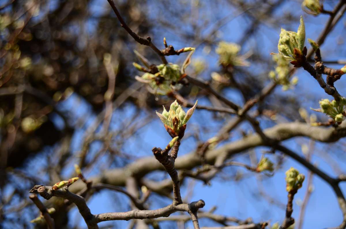 2014-03-22 14-44-05.JPG